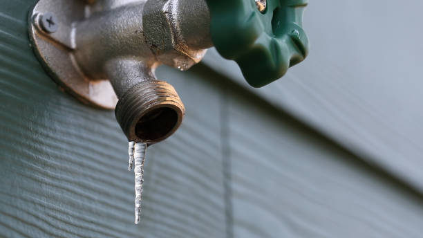 Best Residential Plumbing Services  in Eddyville, KY